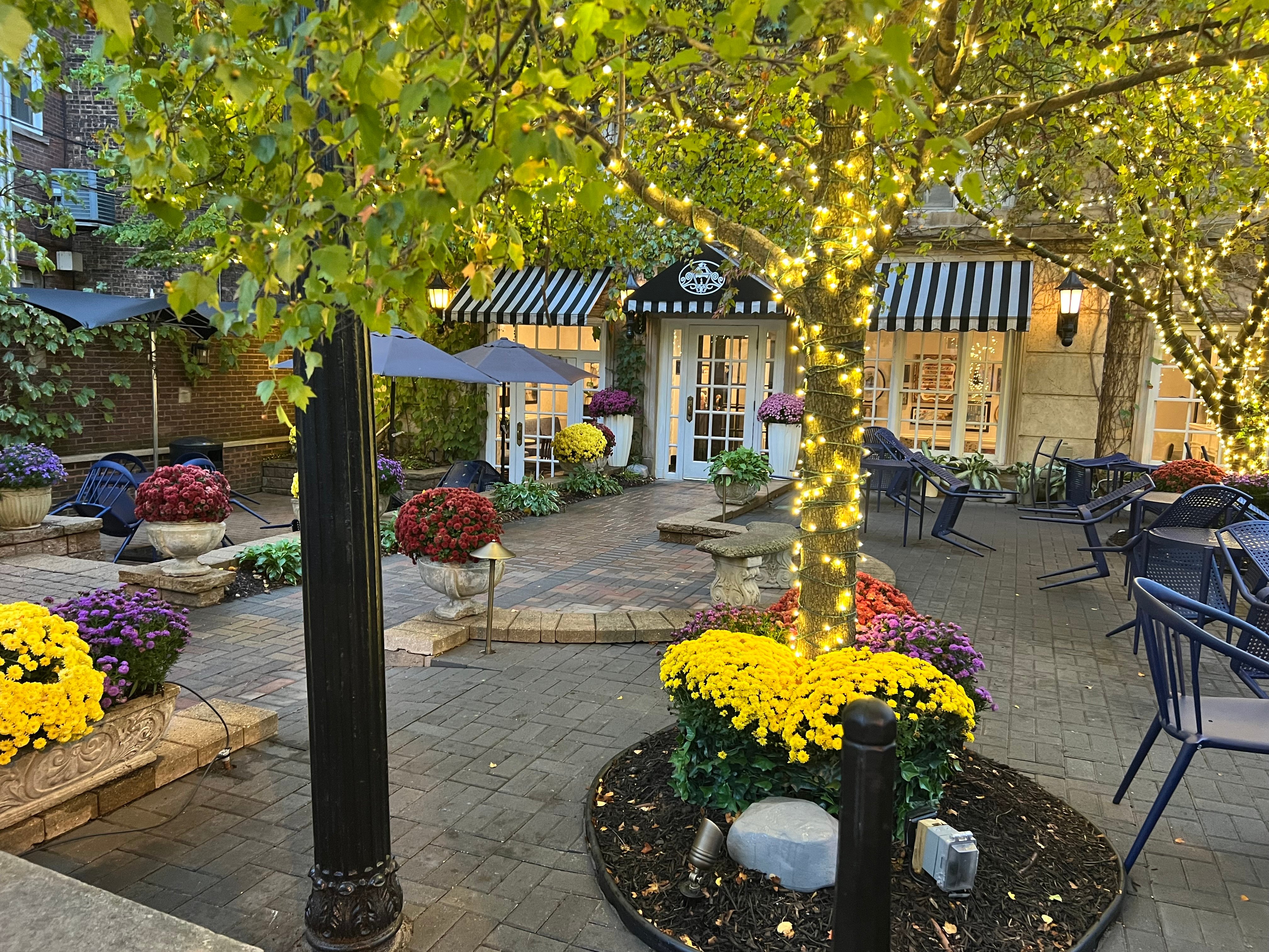 מלון Best Western Plus Hawthorne Terrace